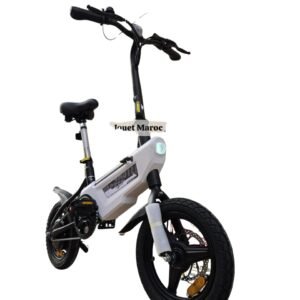 Vélo électrique A VASTER WORLD A01.