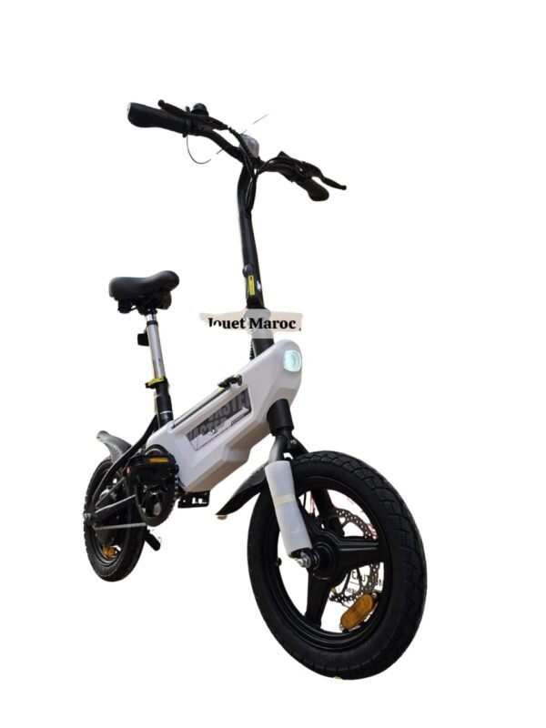 Vélo électrique A VASTER WORLD A01.