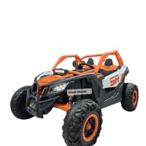 Voiture buggy 12V