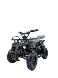 MOTEUR QUAD 36V