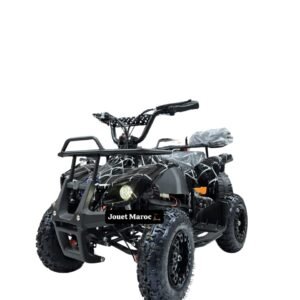 MOTEUR QUAD 36V