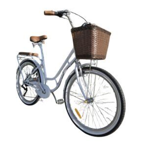 Vélo MADAME HADMENG 26 P.