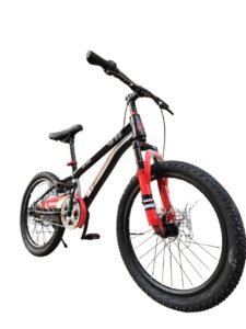 Velo VTT DRAGON