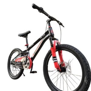 Velo VTT DRAGON