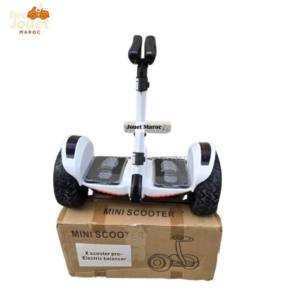 📍Electrique Segway X Scooter Pro - Image 9
