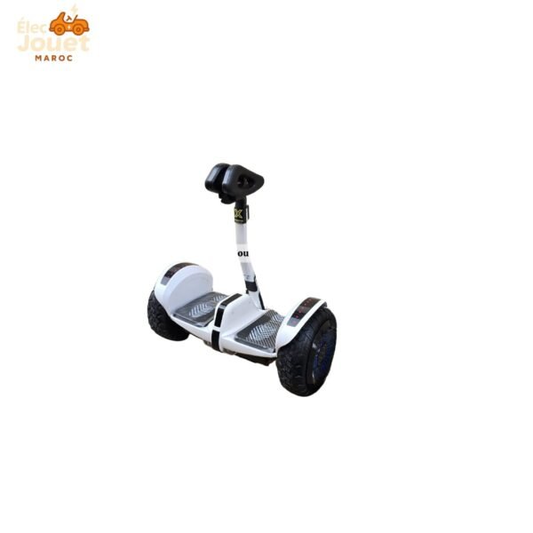 📍Electrique Segway X Scooter Pro - Image 10