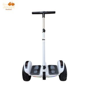📍Electrique Segway X Scooter Pro