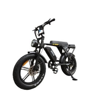 Vélo Électrique ECOXTREM ZOYA – 1000W Max, Autonomie 40-65km
