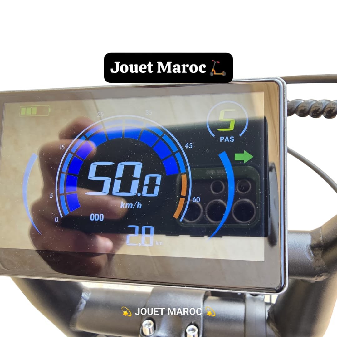 Vélo Électrique ECOXTREM ZOYA – 1000W Max, Autonomie 40-65km - الصورة 7