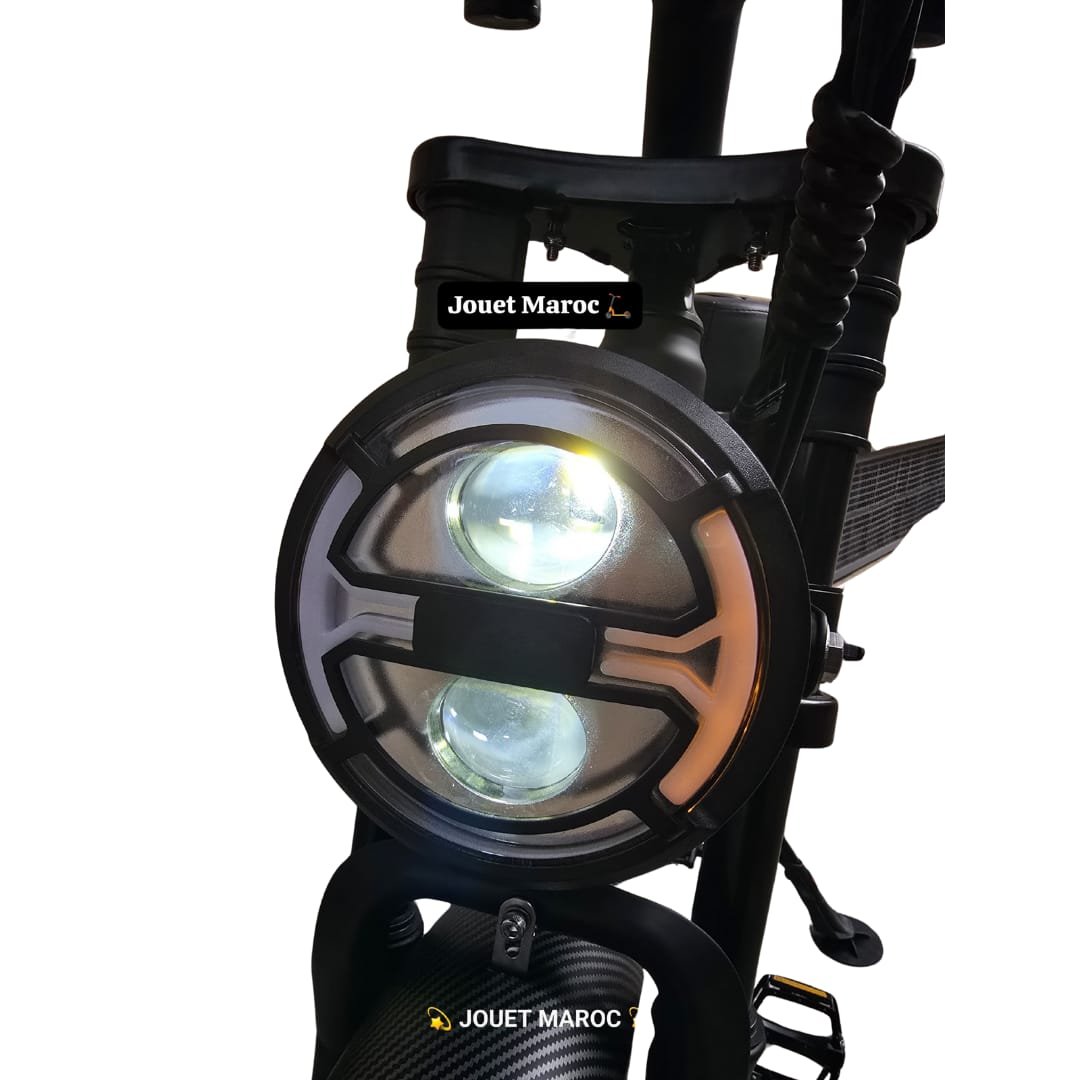 Vélo Électrique ECOXTREM ZOYA – 1000W Max, Autonomie 40-65km - الصورة 4