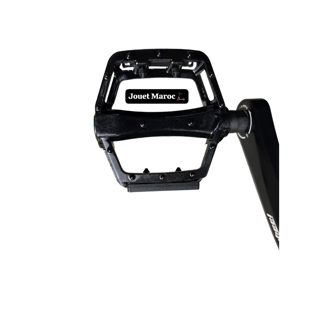 Vélo Électrique ECOXTREM ZOYA – 1000W Max, Autonomie 40-65km - الصورة 5