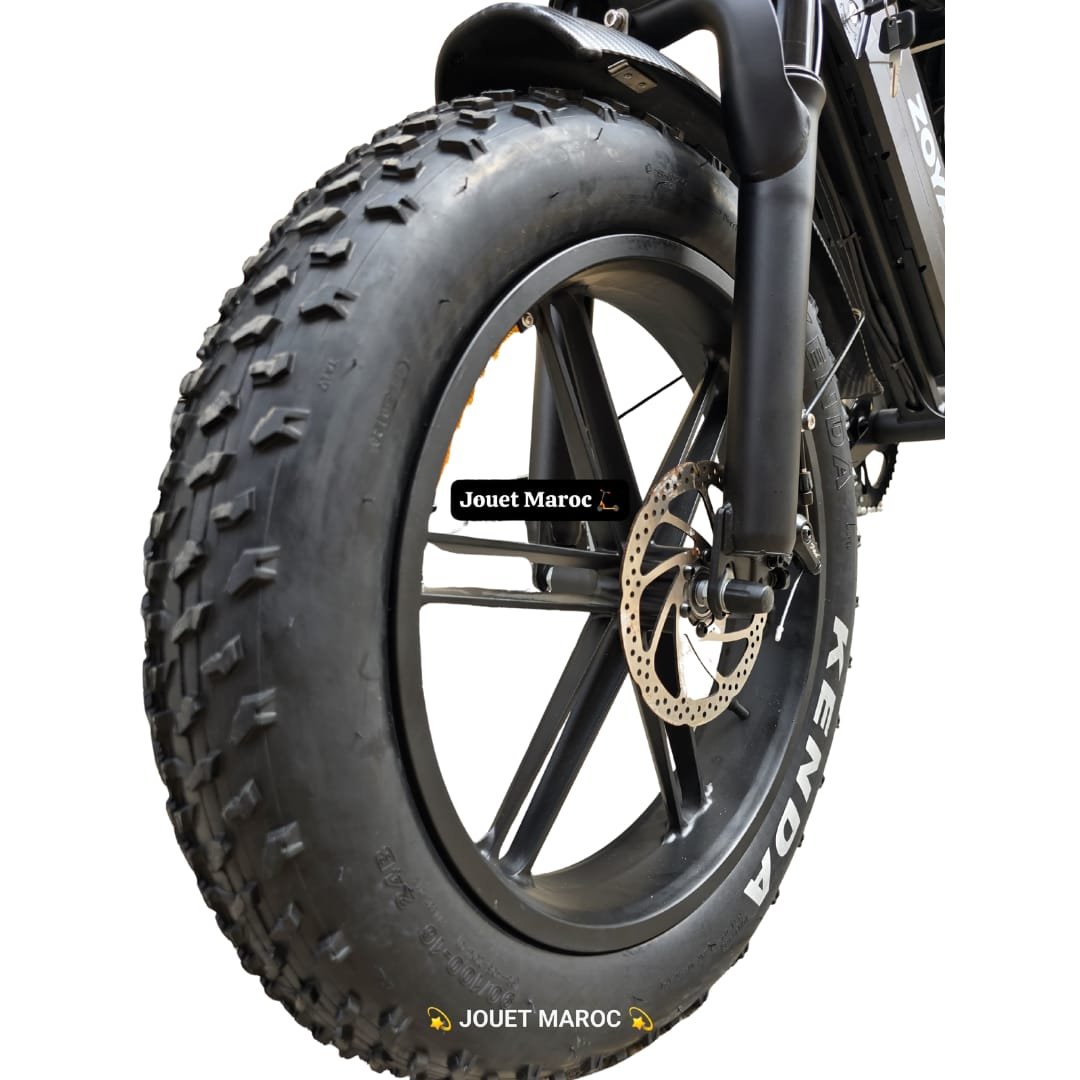 Vélo Électrique ECOXTREM ZOYA – 1000W Max, Autonomie 40-65km - الصورة 2