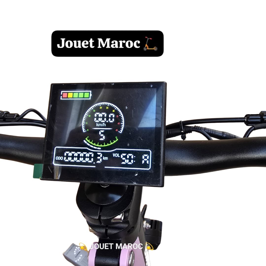 TROTTINETTE ÉLECTRIQUE ECOXTREM BE1 - الصورة 3